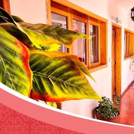 Hotel De Mariacentro San Cristóbal de Las Casas 외부 사진