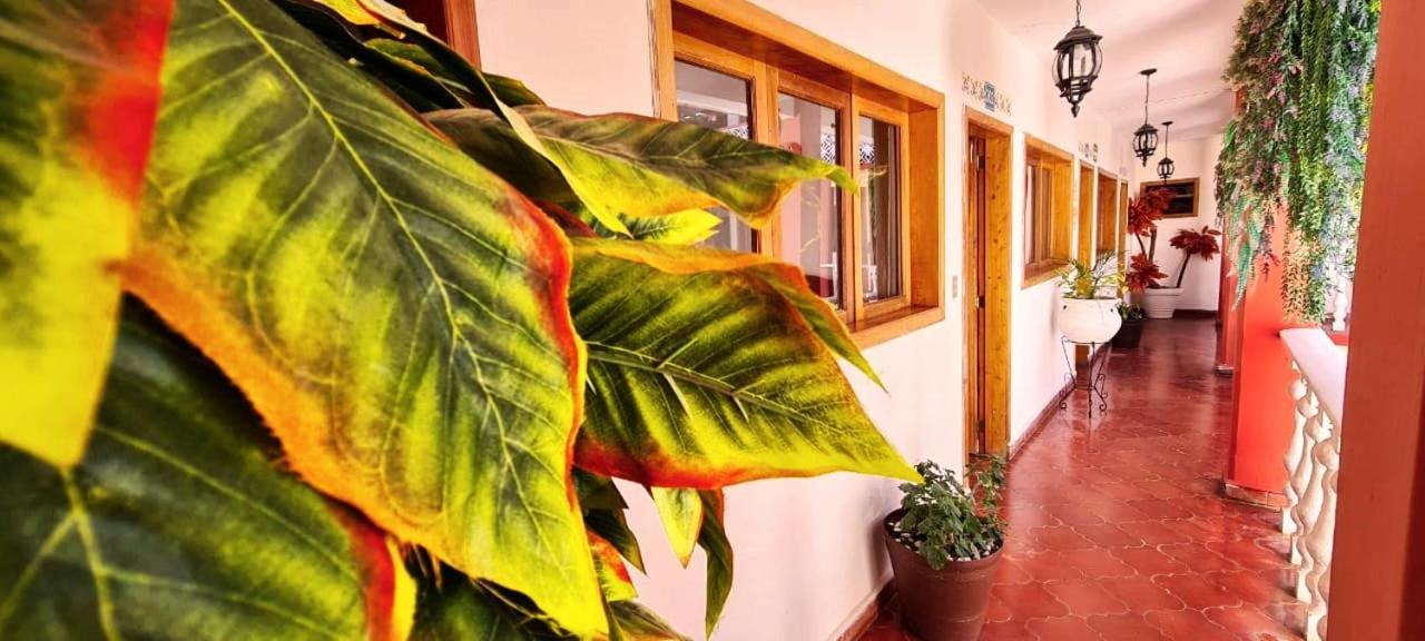 Hotel De Mariacentro San Cristóbal de Las Casas 외부 사진